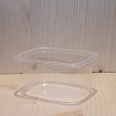 Контейнер одноразовый